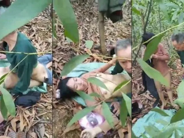 Cú có tuổi mà vẫn cho vô rừng chơi bình thường